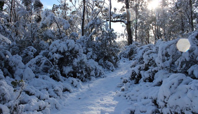 Cradle Mountain Hotel in Cradle Mountain