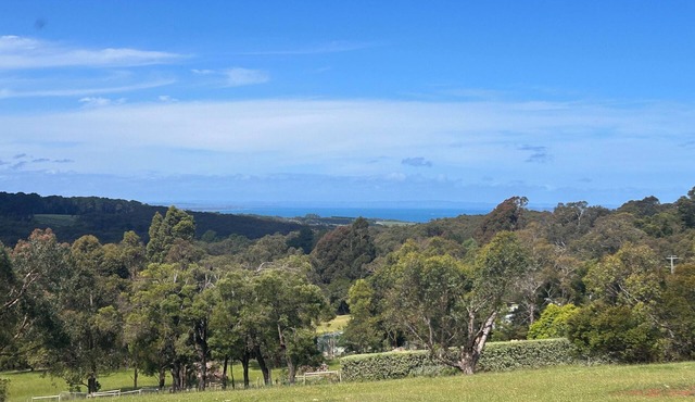Cushla Cottage - A tranquil property in Shoreham w/stunning ocean and vine views in Shoreham
