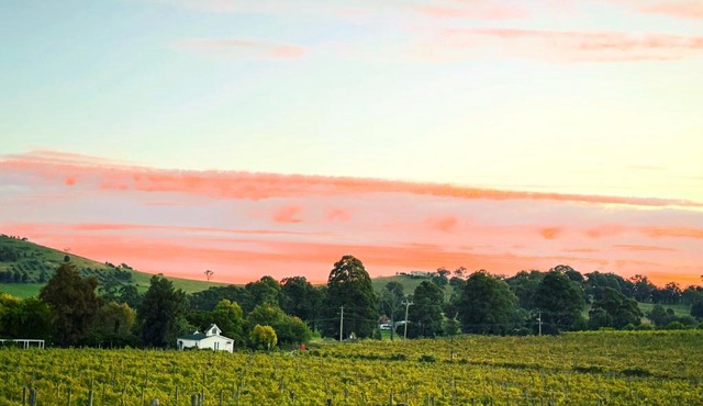 De'Vine Escape in Dixons Creek