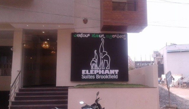 Elephant Suites Brookefield # 5