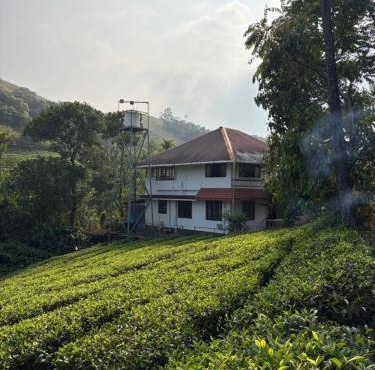 FroZen NeST in Vagamon