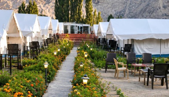 ITW- Into The Wild Camps , Tyakshi , Leh in Turtuk