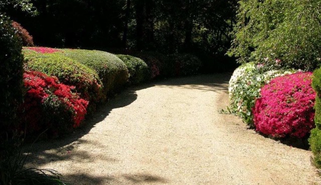 Koonawarra: Ideal for family getaway or 3 couples in Mount Wilson