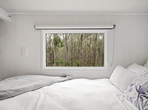 Luxury Tiny Homes in the Forest in Rosa Glen