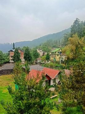 MAHAMAYA'S - Home in the Himalayas
