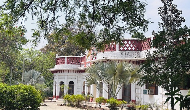 My Mom's Village