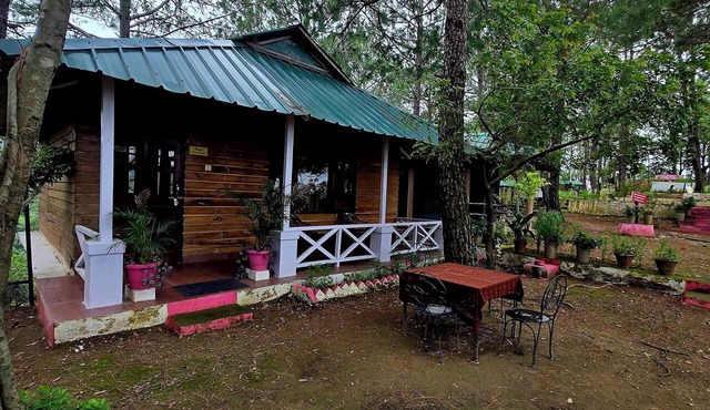 Pine Wood Nirvana Jungle Resorts in Shimla