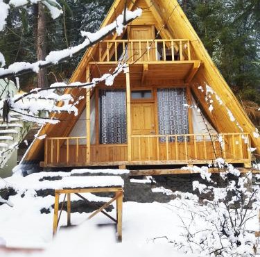 Pinehill cottage in Jibhi