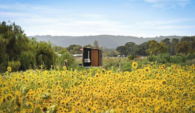 Revillaging Project by Tiny Away in Boneo