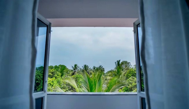 Sea Breeze