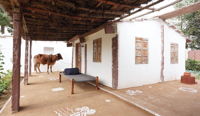 Solitude in a Natural Home amidst the Aravali Hills