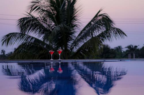 SPARV Aulakhs Resort in Mandrem