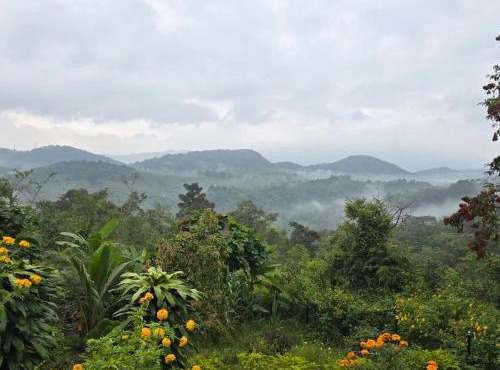 Sumeru valley vagamon