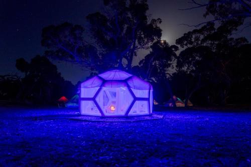 Taj Mahal upgraded Hex bubble in Comaum