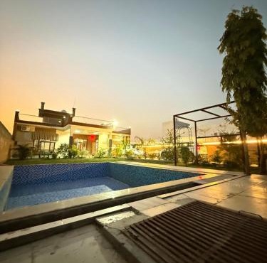 The Jungle Retreats