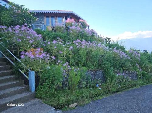 The Serene Acres, Farm & Stay