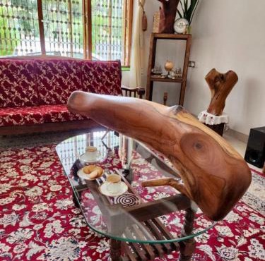 White Butterfly-A Mindful Kerala Farmstay in Trivandrum