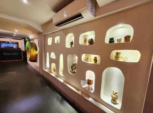 Wise Owl Comfotel