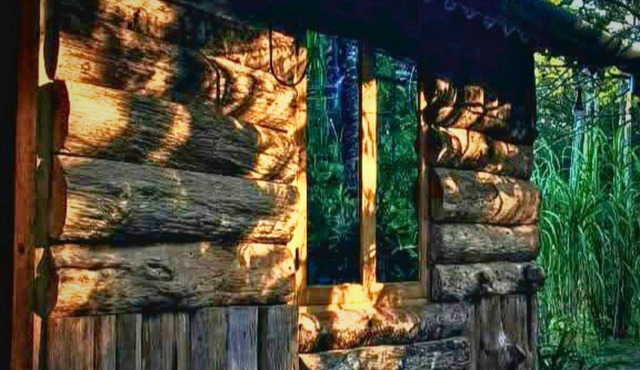 Yangsum Village Homestay