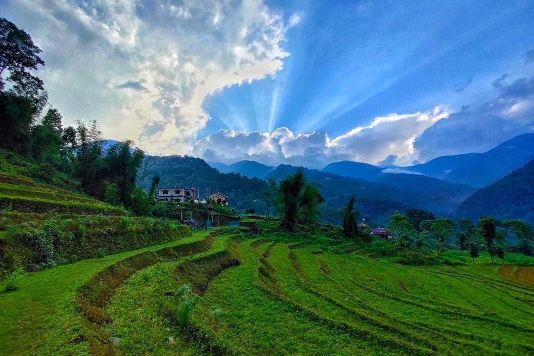 Kumai Bed & Breakfast | Drukinn gaireykhet homestay