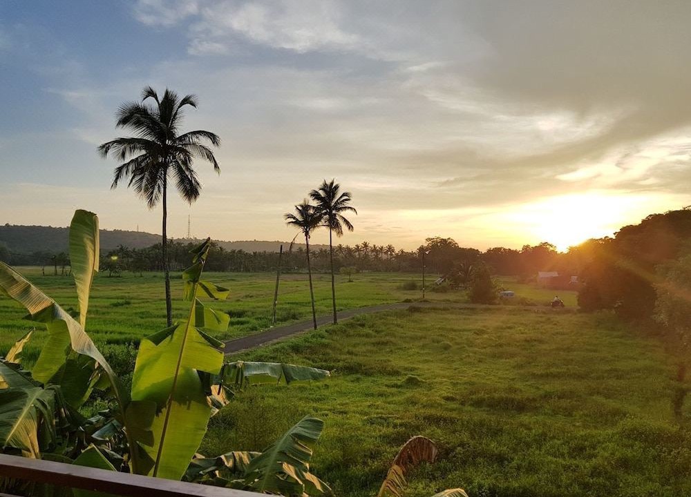Photo of Outdoor in Mandrem