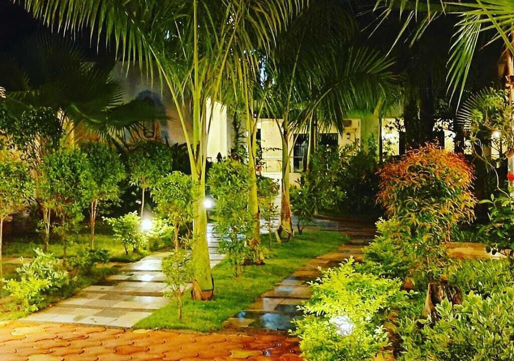 Photo of Outdoor in Arambol