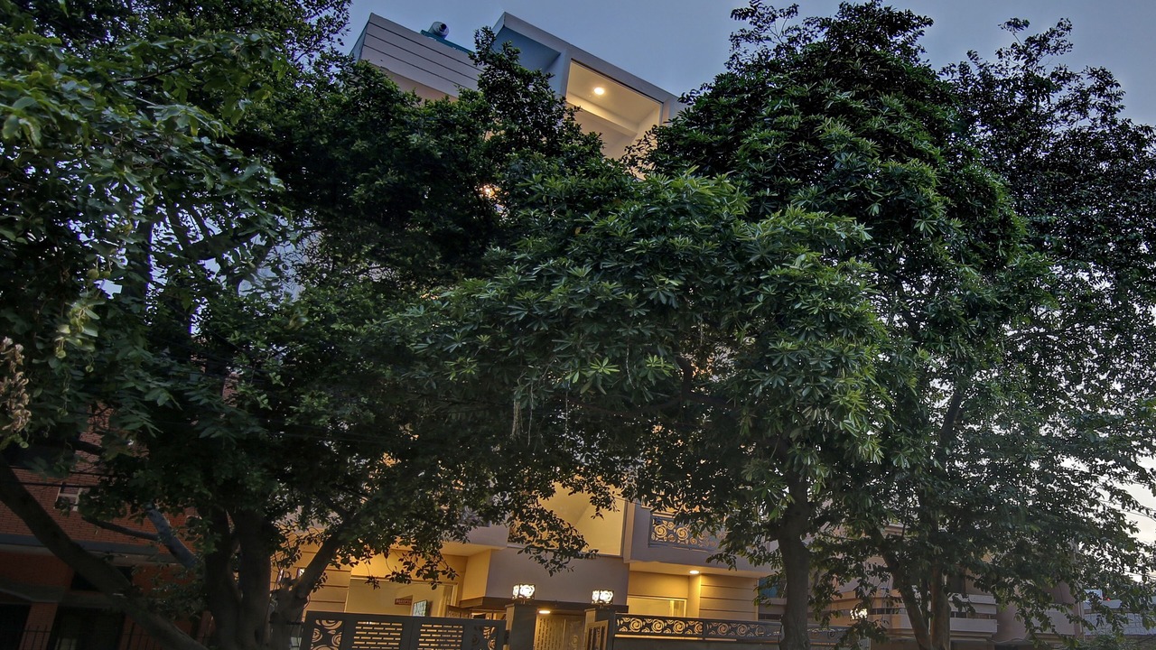 Photo of Outdoor in Noida