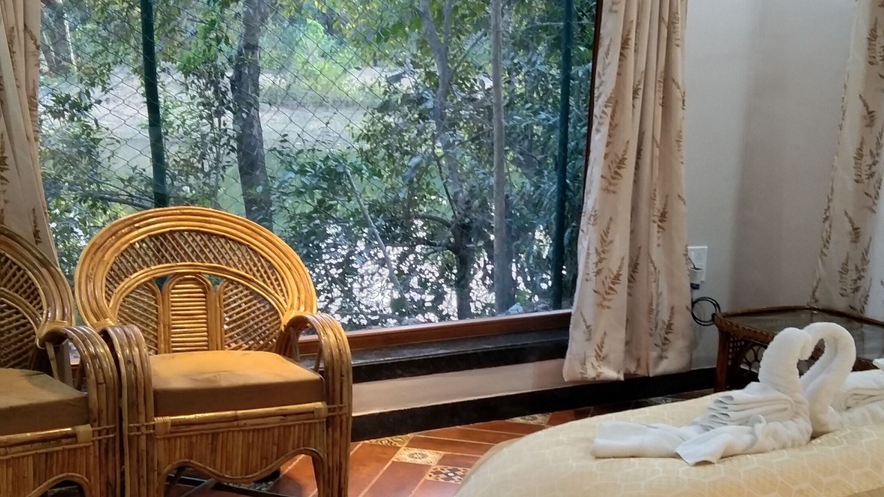 Photo of Bedroom in Damoy