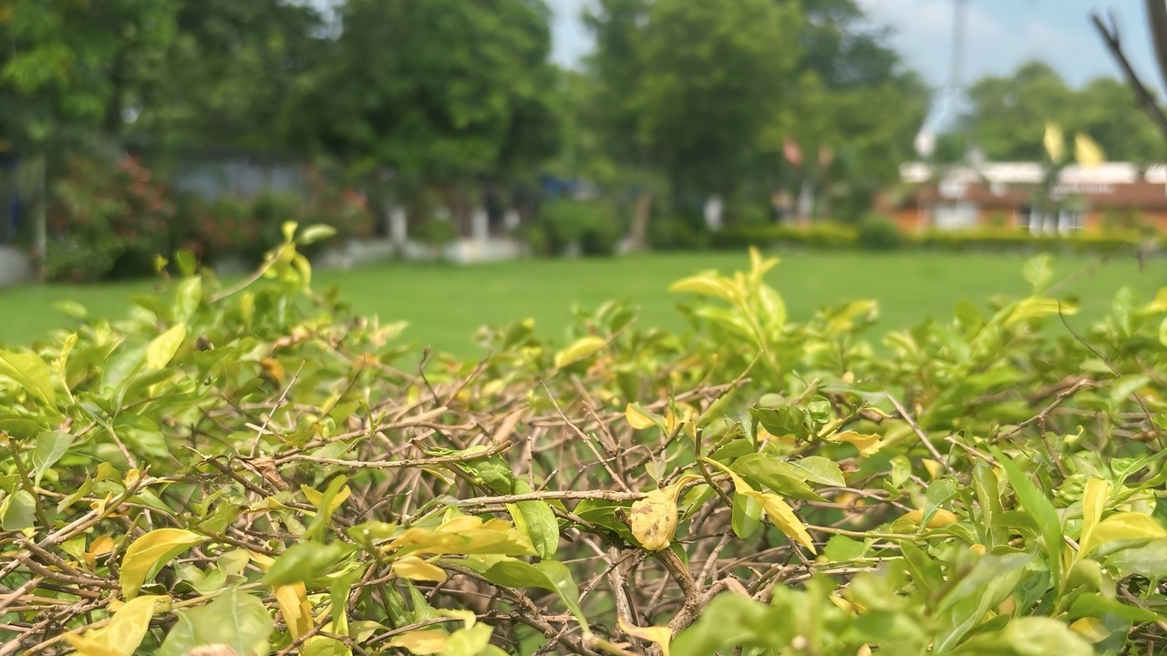Photo of Outdoor in Bodh Gaya