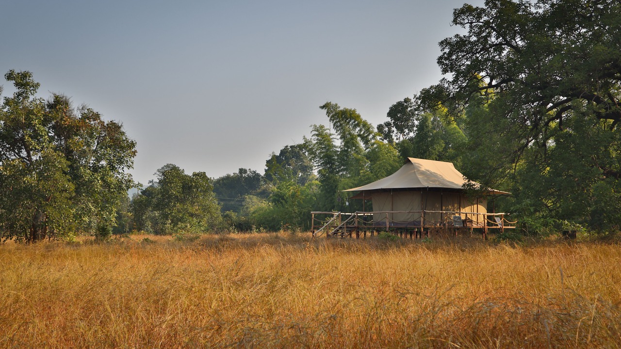Photo of Outdoor in Umaria