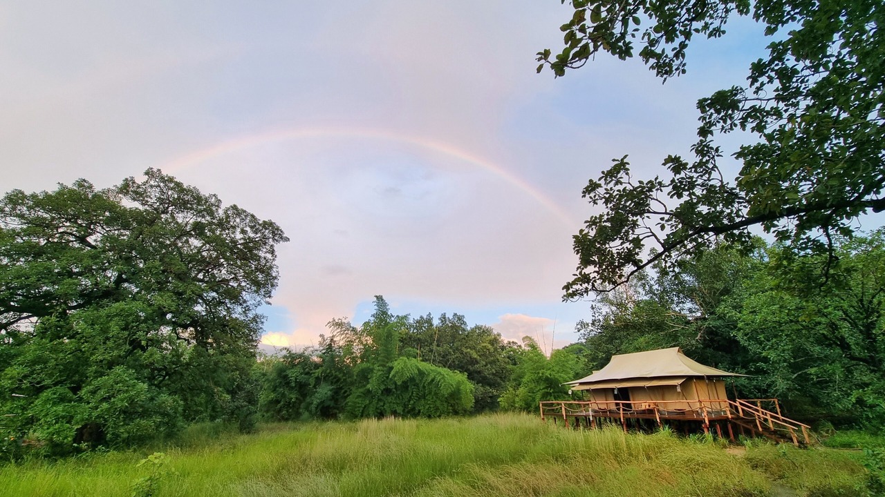 Photo of Outdoor in Umaria