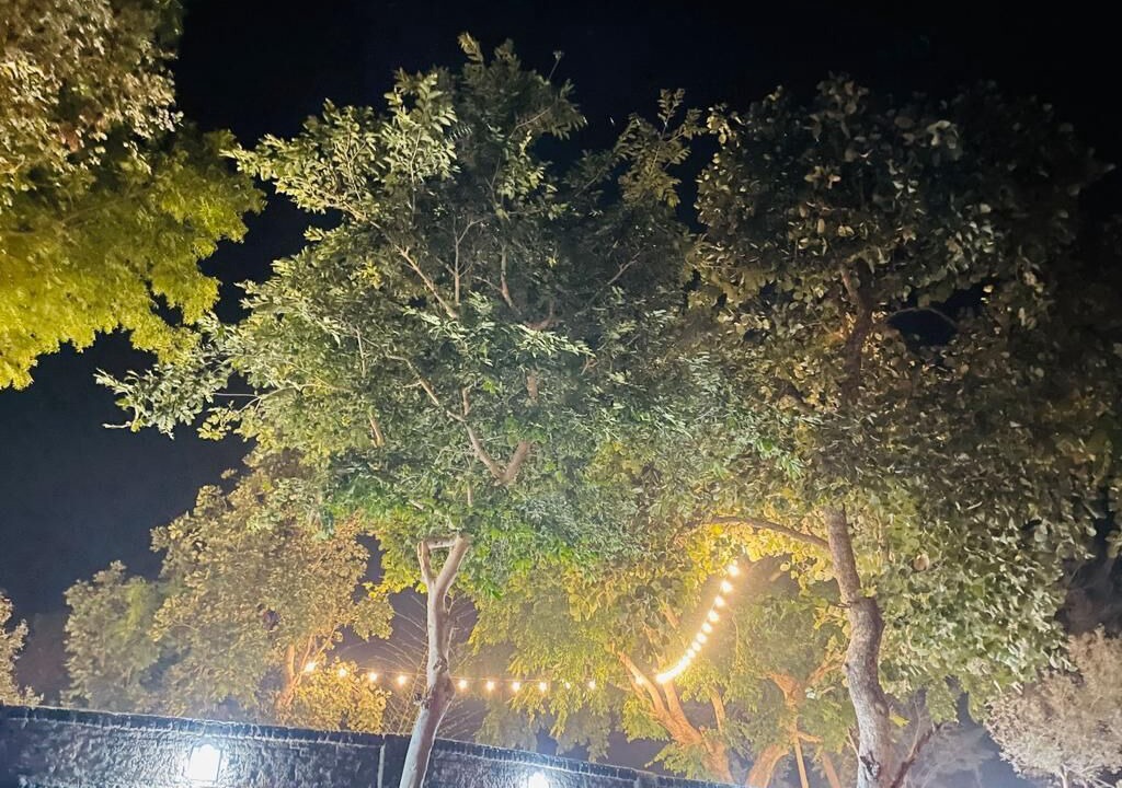 Photo of Outdoor in Panna