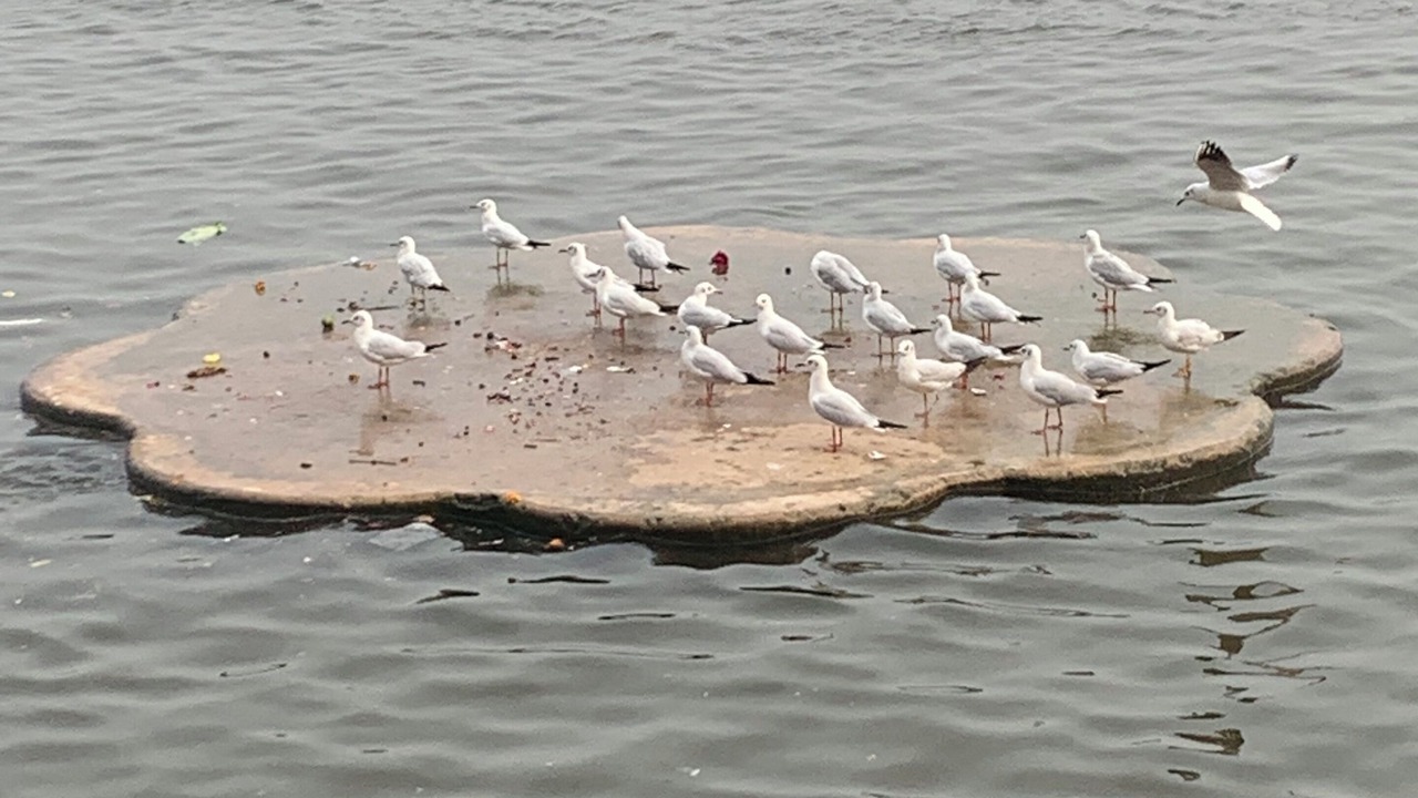 Photo of Others in Varanasi