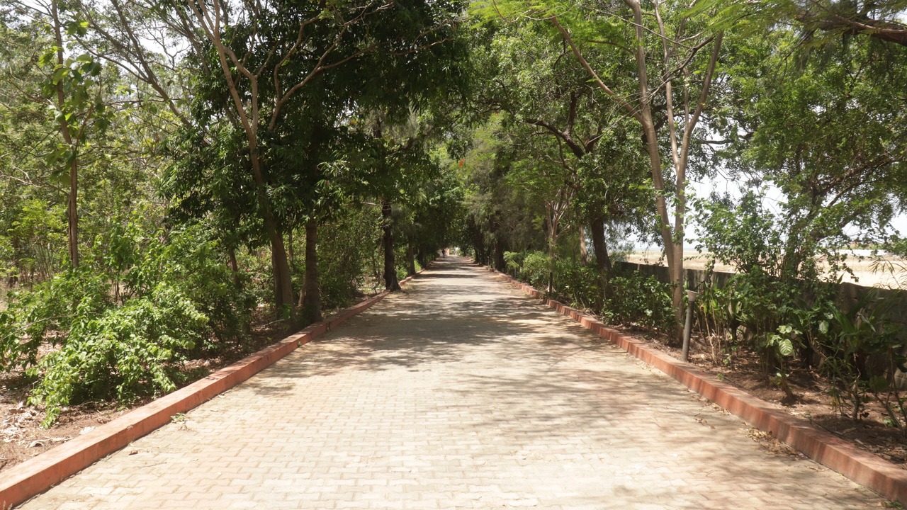 Photo of Outdoor in Mahabalipuram Beach