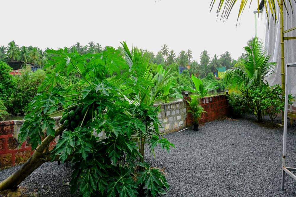 Photo of Outdoor in Arambol
