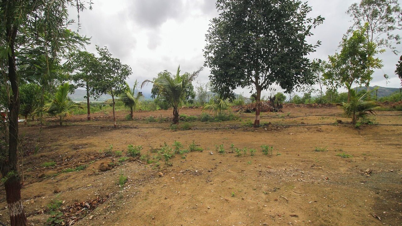 Photo of Outdoor in Junnar