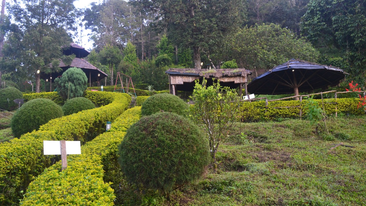Photo of Outdoor in Devikolam