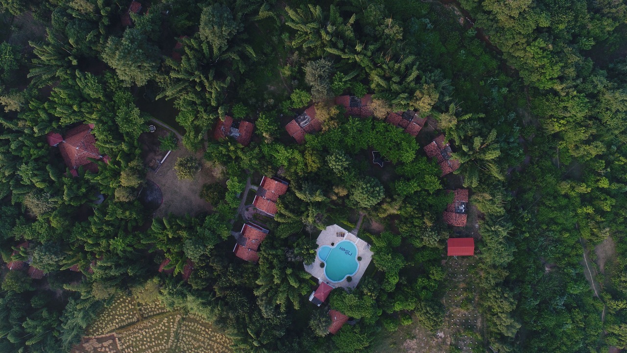 Photo of Outdoor in Tala