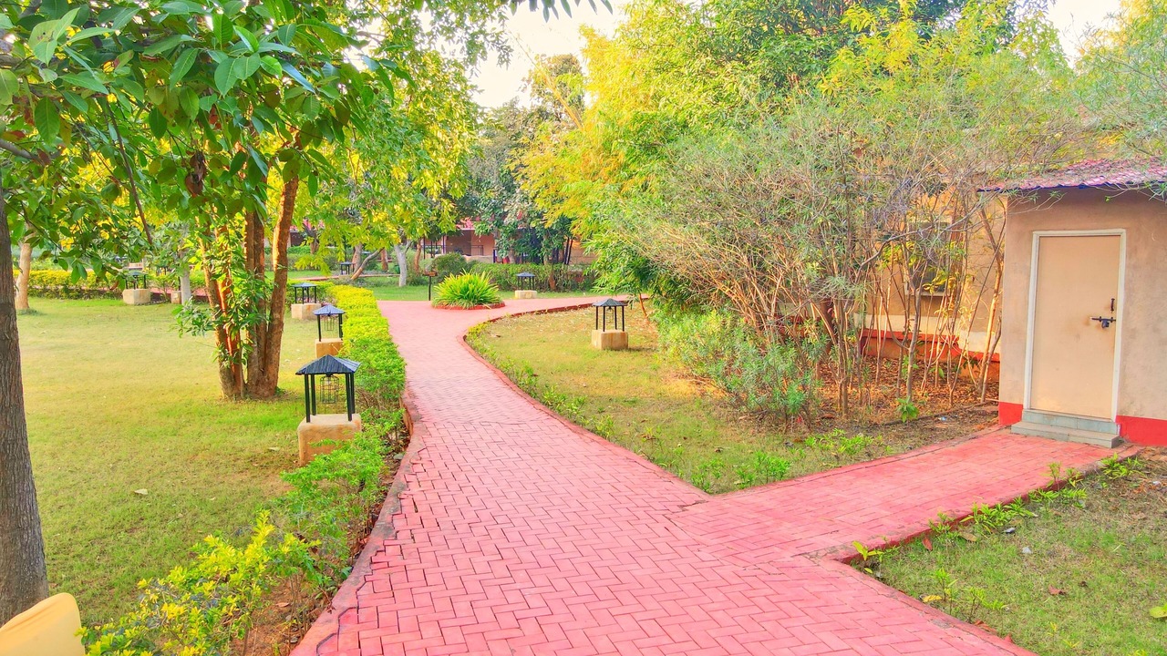 Photo of Outdoor in Tala