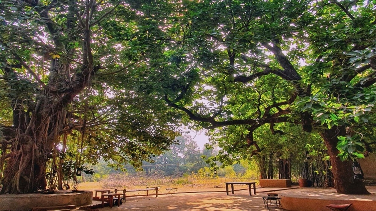 Photo of Outdoor in Tala