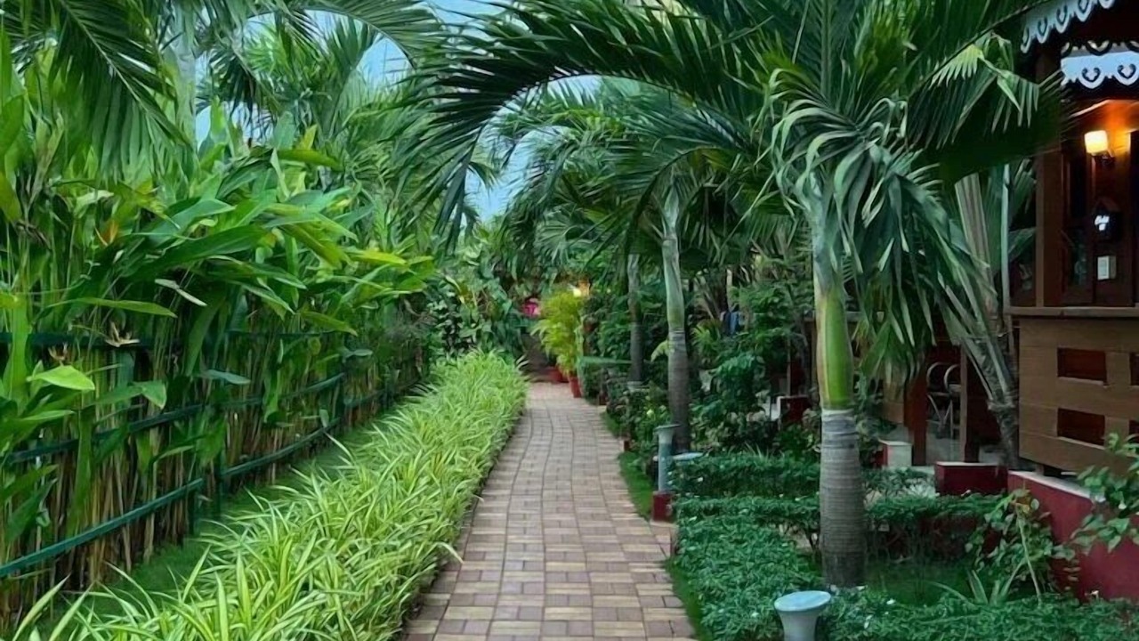 Photo of Outdoor in Arambol