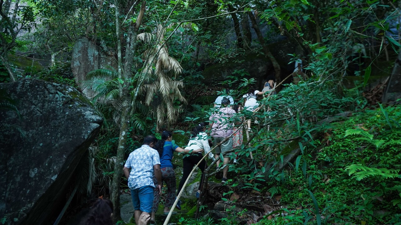 Photo of Outdoor in Sulthan Bathery