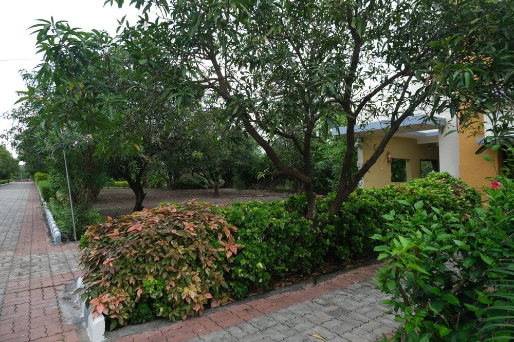 Photo of Outdoor in Talala