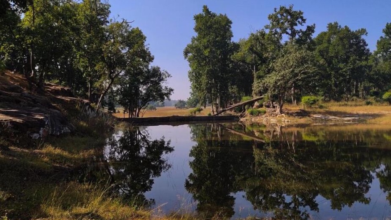 Photo of Outdoor in Umaria