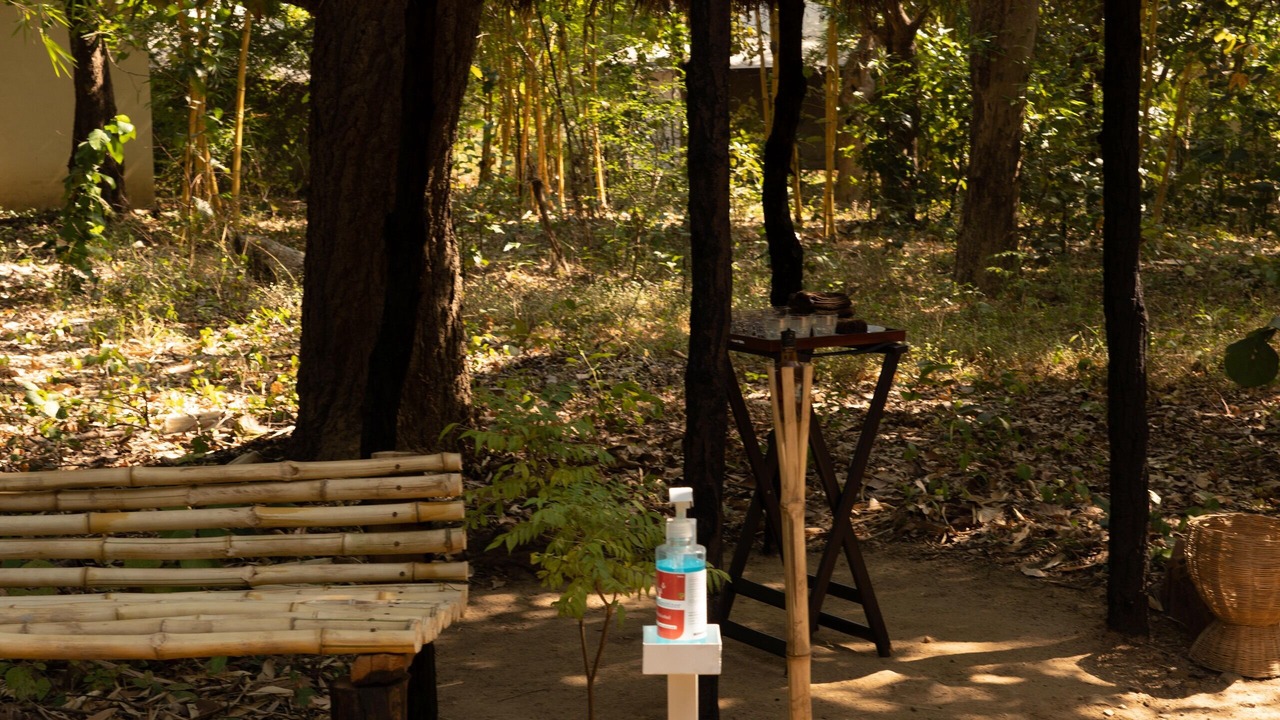 Photo of Outdoor in Umaria
