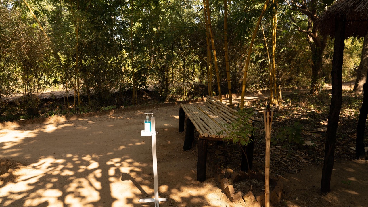 Photo of Outdoor in Umaria