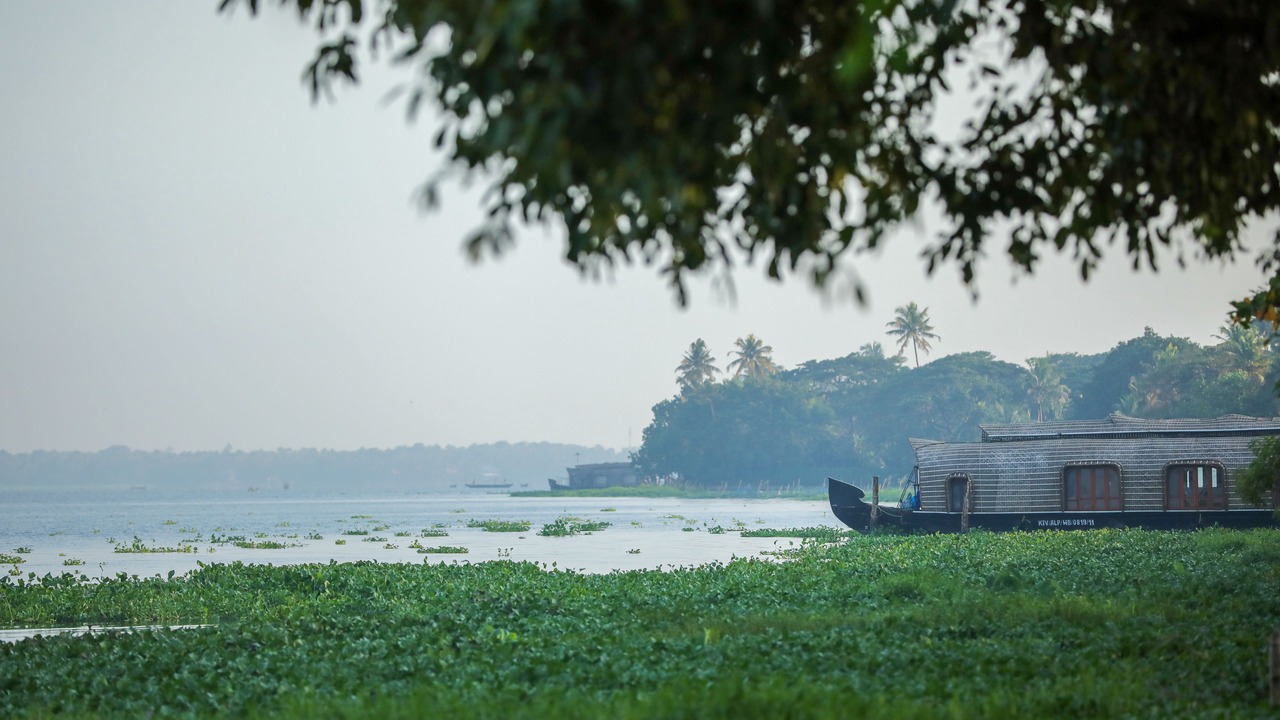 Photo of Others in Kumarakom