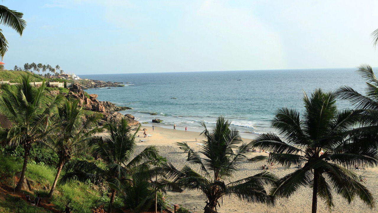 Photo of Others in Neyyattinkara