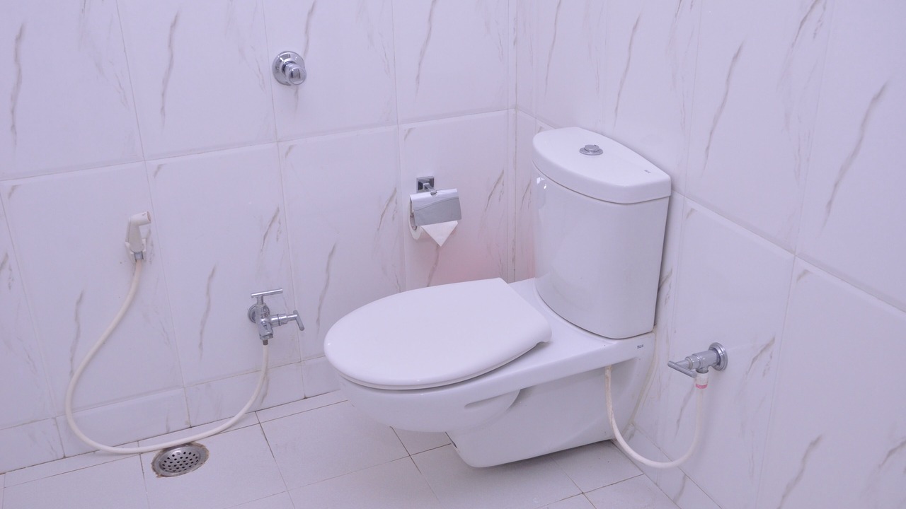 Photo of Bathroom in Patna