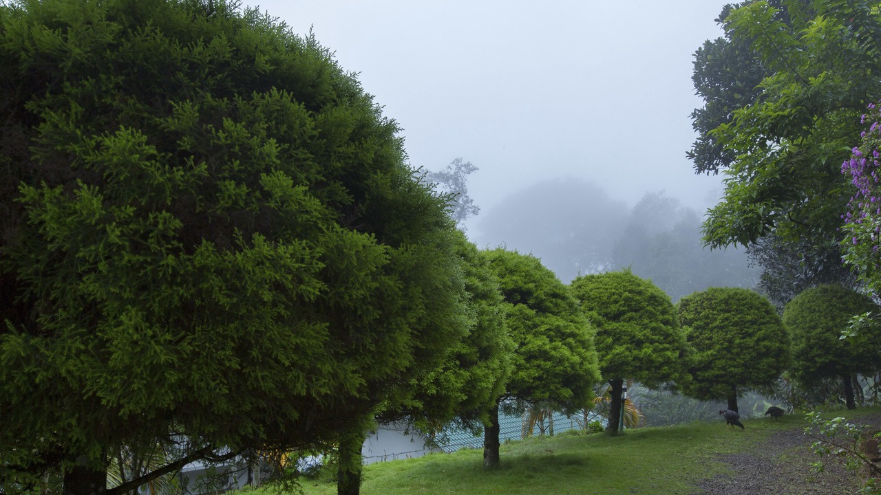 Photo of Outdoor in Pallivasal
